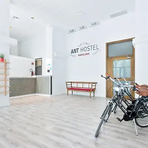 Ant , Barcelona Spanien